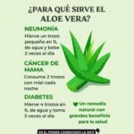 Aloe Vera: Un Superalimento Natural para la Salud