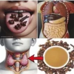 Clavo de olor: pequeño, aromático y lleno de beneficios para tu salud y cocina