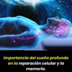 5 Señales de que No Estás Alcanzando el Sueño Profundo que Necesitas