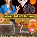 Jengibre, clavo de olor y miel — un trío natural: ¿por qué tanta gente los recomienda?