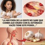 Los asombrosos beneficios de comer ajo crudo en ayunas: ¿realidad o mito?