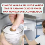 ¿Por qué deberías poner una cucharada en el congelador?