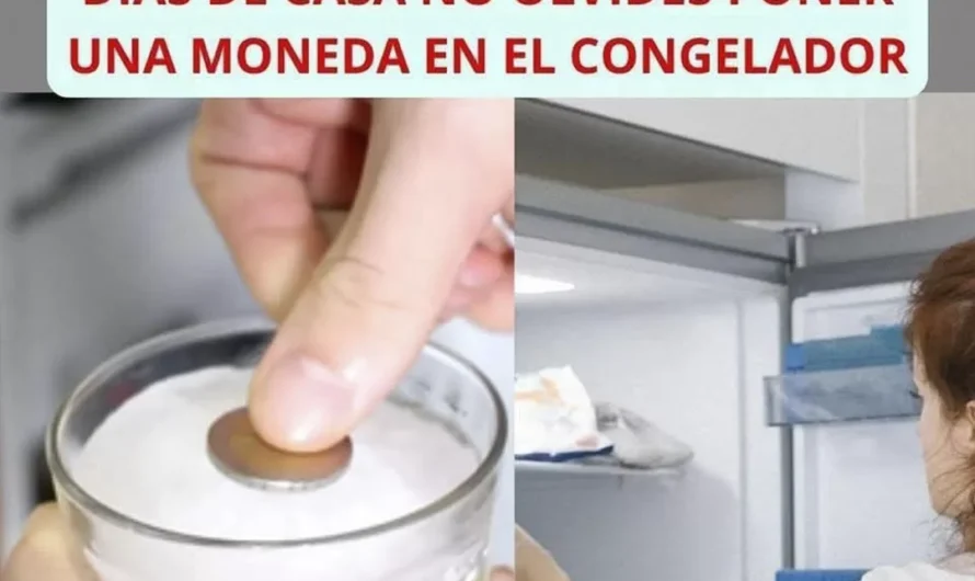 ¿Por qué deberías poner una cucharada en el congelador?