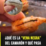 La línea oscura del camarón: qué significa y cómo afecta su preparación