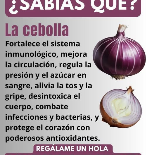 Mezcla de limón, cebolla y ajo: ¿realmente fortalece tus pulmones y defensas? (la verdad basada en ciencia)