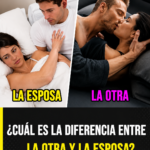 El conflicto entre amor y rutina: una mirada psicológica a las relaciones paralelas