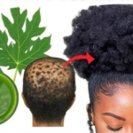 El poder de las hojas de papaya: beneficios para tu salud y cómo usarlas