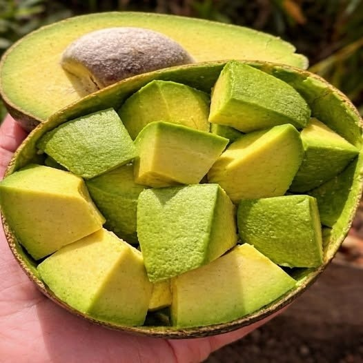 El Oro Verde en tu Plato: Los Impactantes Efectos de Comer Aguacate Todos los Días que la Ciencia ha Confirmado