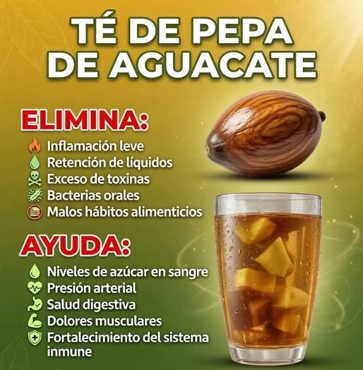 Té de semilla de aguacate: beneficios potenciales y lo que aún sigue en estudio