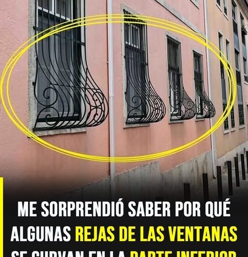 La razón detrás de los barrotes curvos en las ventanas y su práctico diseño