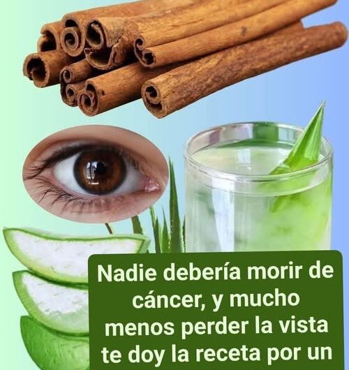 La popularidad de la sábila en remedios caseros para el sistema digestivo