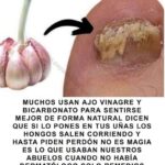 Cómo funcionan algunos remedios naturales y cuándo conviene usarlos con precaución