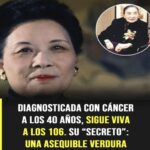 Madame Chiang: la vida, los hábitos y el legado de una de las mujeres más longevas de su tiempo