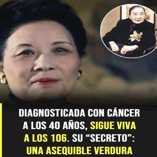 Madame Chiang: la vida, los hábitos y el legado de una de las mujeres más longevas de su tiempo