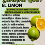 La verdad sobre el limón: propiedades, usos y beneficios que sí tienen respaldo científico