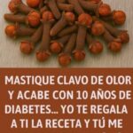 Lo que dicen los estudios sobre el té de clavo de olor y su consumo responsable