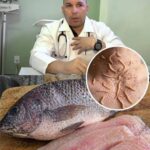 Tilapia: beneficios, posibles preocupaciones y lo que dicen los expertos sobre su consumo