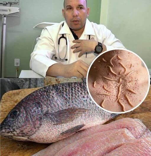 Tilapia: beneficios, posibles preocupaciones y lo que dicen los expertos sobre su consumo