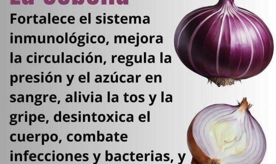 Limón, Cebolla y Ajo: Qué Pueden Aportar a tus Defensas y Qué Mitos Debes Evitar