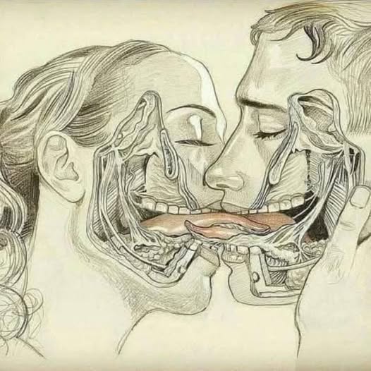 Qué Ocurre en el Cuerpo Cuando Besamos con Pasión: Ciencia, Emociones y Cuidados