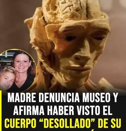 Cuando una Madre Reconoce a su Hijo: Dolor, Esperanza y el Proceso de Identificación de un Ser Querido