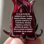 La infusión de jamaica y sus propiedades: lo que explican especialistas e investigadores