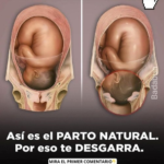 El parto natural explicado: cambios físicos, emociones y aspectos clave del proceso