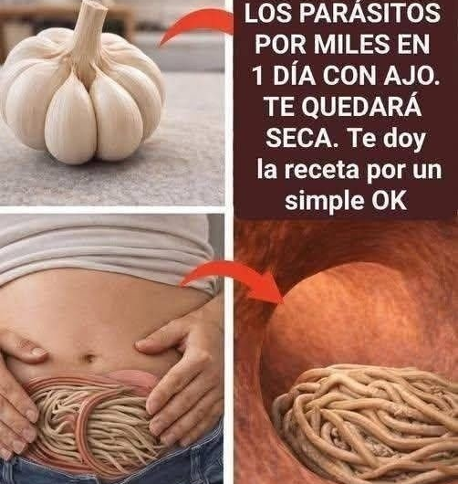 Las propiedades del ajo y por qué sigue siendo uno de los alimentos más estudiados