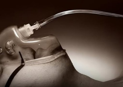 El fenómeno de los olores antes de la muerte y la explicación del cerebro humano
