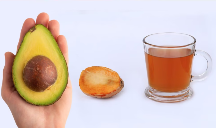 Té de Semilla de Aguacate: Beneficios Posibles, Riesgos y Lo que Debes Saber Antes de Tomarlo
