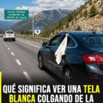 Tela blanca en la ventanilla del auto: el significado de esta señal que muchos conductores usan en la ruta