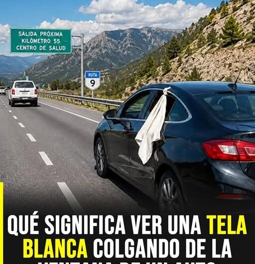 Tela blanca en la ventanilla del auto: el significado de esta señal que muchos conductores usan en la ruta