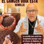 Semillas de chía: beneficios reales, receta fácil y precauciones antes de consumirlas