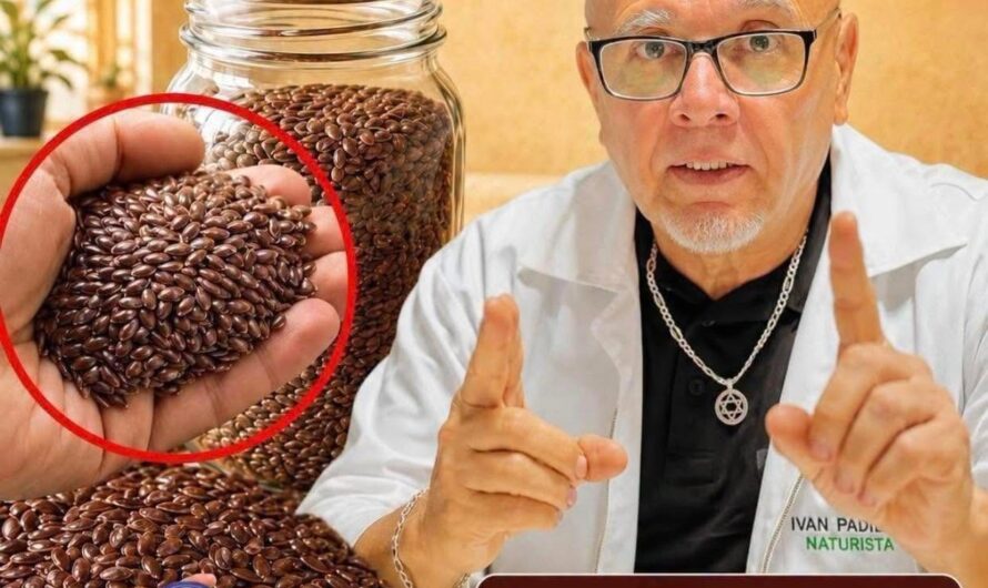 Semillas de chía: beneficios reales, receta fácil y precauciones antes de consumirlas