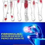 Emociones guardadas: cómo afectan al cuerpo y hábitos naturales para expresarlas mejor