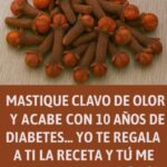 Clavo de olor y salud: beneficios reales, mitos sobre el cáncer y riesgos que debes conocer