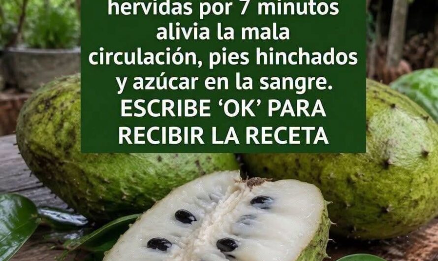 Té de hojas de guanábana: usos tradicionales, precauciones y lo que debes saber antes de tomarlo