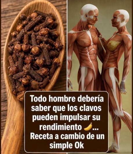 Clavo de olor y energía masculina: beneficios reales, mitos y formas seguras de usarlo