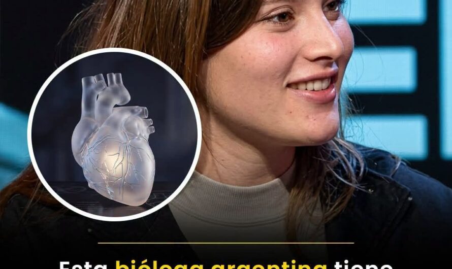 El hidrogel argentino que podría ayudar al corazón después de un infarto: qué se sabe realmente