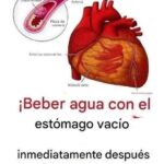 Beber agua al despertar: beneficios reales, mitos comunes y la forma correcta de hacerlo