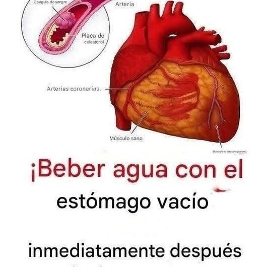 Beber agua al despertar: beneficios reales, mitos comunes y la forma correcta de hacerlo