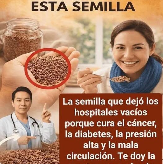 Chía: la pequeña semilla nutritiva que puede apoyar tu alimentación diaria