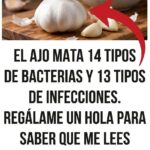 Ajo en la alimentación: beneficios reales, usos seguros y precauciones que debes conocer