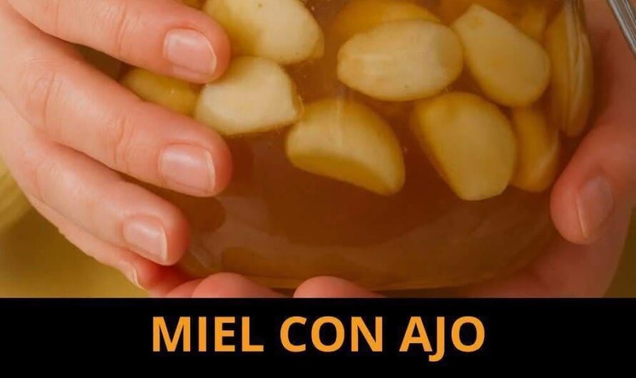 Ajo con miel durante 7 días: beneficios reales, receta segura y precauciones importantes