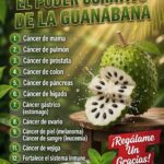 Guanábana, tomate y guayaba: una mezcla tropical nutritiva que debes tomar con equilibrio