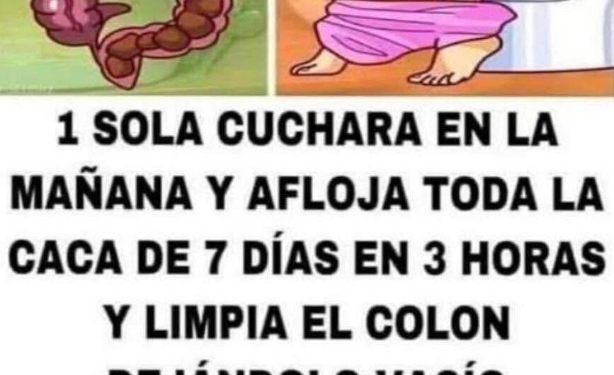 Bebida de laurel, Jamaica y canela para mujeres: beneficios reales, receta y precauciones