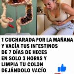 Receta natural para apoyar la digestión y aliviar la inflamación abdominal sin “limpiezas” peligrosas