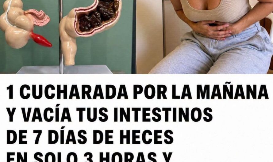 Receta natural para apoyar la digestión y aliviar la inflamación abdominal sin “limpiezas” peligrosas