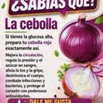 Cebolla: beneficios reales, usos en casa y precauciones que debes conocer