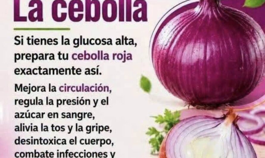 Cebolla: beneficios reales, usos en casa y precauciones que debes conocer